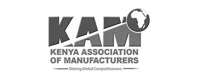 Kenya ICT services